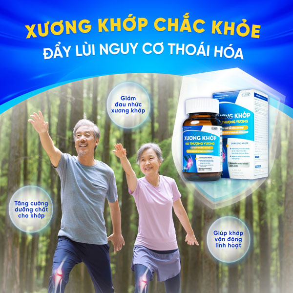 Xương khớp hải thượng vương